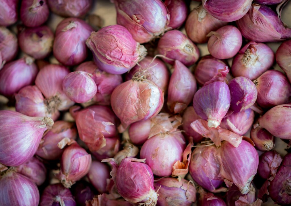 Shallots