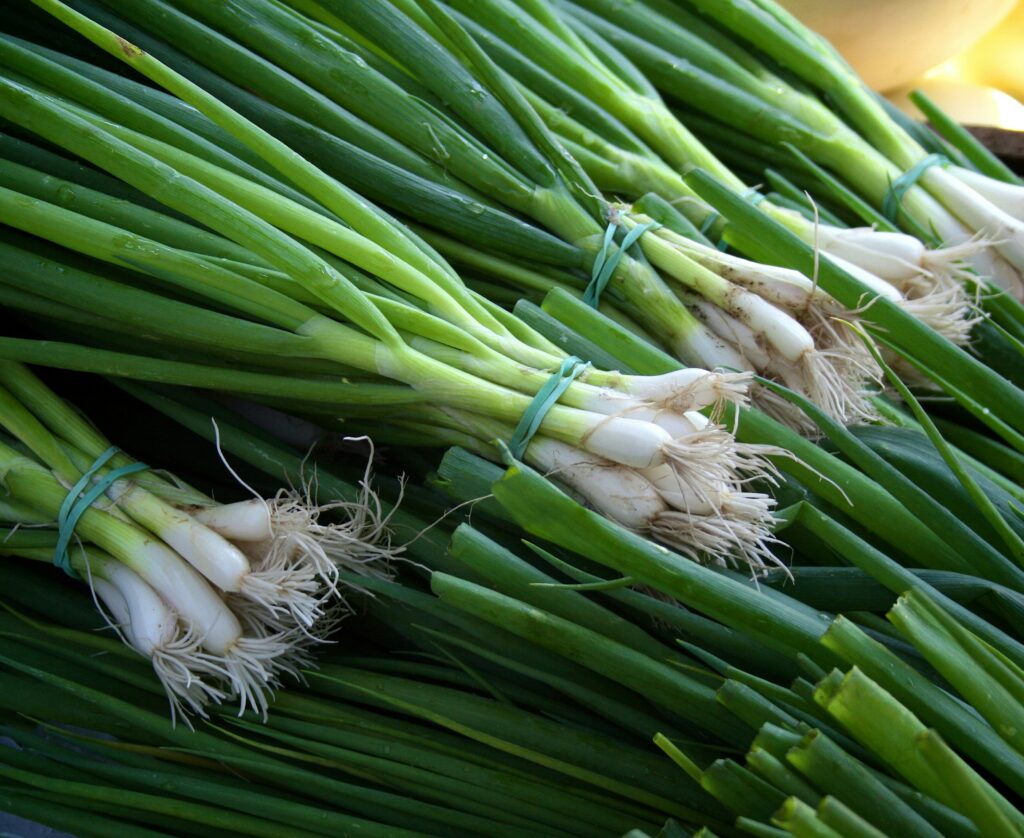 spring onions/scallion